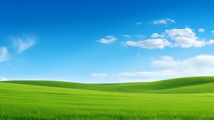 Wall Mural - digital technology blue sky grass landscape poster background with generative