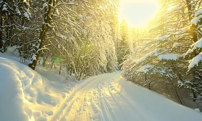 Aufkleber - Sunlit Snowy Forest Pathway Through Trees In Winter Wonderland Setting : Generative AI