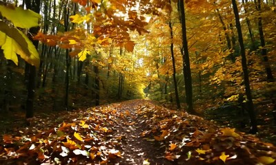 Poster - Autumn Forest Pathway Covered in Golden Leaves Creating a Mystical Nature Scene : Generative AI