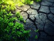 © Wuttichai - Cracked Earth Slowly Covered by Glowing Green Plants Symbolizing Environmental Recovery