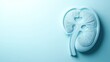 © Chayanan - Human Kidneys Model on Blue Background - Chronic Kidney Disease Understanding and Nephrology Concept with Copy Space - Generative AI.