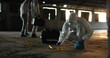 © peopleimages.com - Crime, people and forensics at scene with swab, evidence and DNA sample with clue in abandoned warehouse. CSI team, hazmat suit or investigation in building for legal service, inspection or pathology