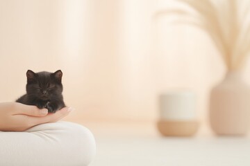 Poster - Cozy Indoor Scene Black Cat Relaxing on Persons Lap in Soft Lighting