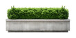 © FAFO - Modern concrete planter box filled with lush green shrubs, creating a stylish and contemporary greenery display, isolated on a white background. PNG, cutout, or clipping path.