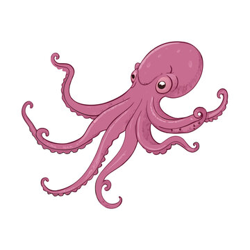 Vector Cartoon Octopus Cephalopod Color Illustration