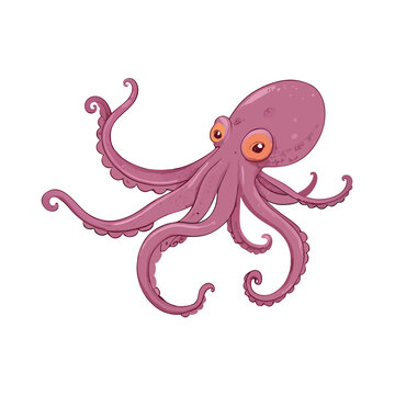 Vector Cartoon Octopus Cephalopod Color Illustration