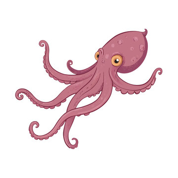 Vector Cartoon Octopus Cephalopod Color Illustration