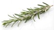 © Nadiia - Fresh rosemary twig isolated on white background. Clipping path