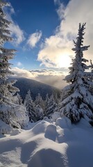 Sticker - Snowy Mountain Landscape with Fir Trees and Sunlight