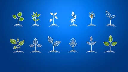 Poster - Collection of 15 linear icons representing plant biology processes including symbols for leaf veins seeds and germination stages in a clean format