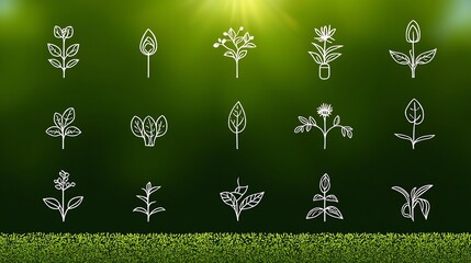Poster - Collection of 15 minimalist outline style botany icons highlighting natural elements like buds petals and sunlight in a graphic design