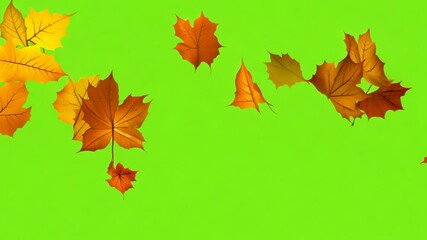 Wall Mural - Autumn leaves falling on a bright green background