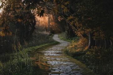 Poster - A winding stone path through a forest  bathed in golden sunlight.