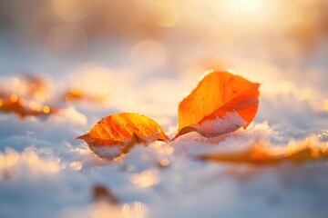 Wall Mural - A serene winter scene featuring a couple of leaves lying on the snow-covered ground, perfect for nature and landscape photography