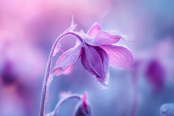 Poster - Close-up of a flower with water droplets glistening on its petals