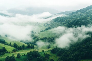 Aufkleber - Serene valley scene with towering trees and fluffy clouds
