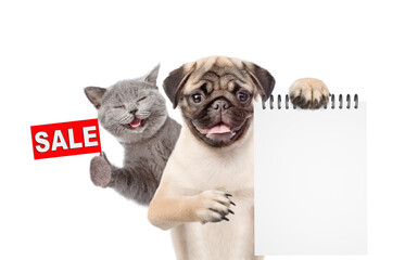 Poster - Happy cat and Pug puppy look at camera. Dog shows blank notepad. Kitten  shows signboard with labeled 