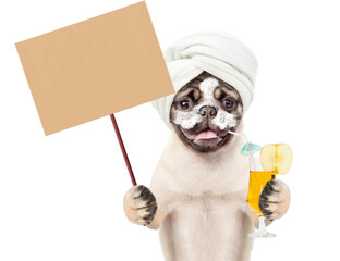 Aufkleber - Funny Pug puppy with towel on it head and with cream on it face drinks apple cocktail and shows blank placard. isolated on white background