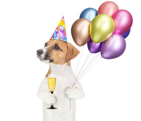 Aufkleber - Funny jack russell terrier puppy wearing party cap holds balloons and glass of champagne. isolated on white background