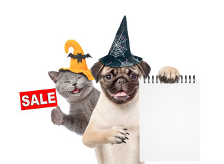 Fototapete - Happy cat and Pug puppy wearing  hats for halloween look at camera. Dog shows blank notepad. Kitten  shows signboard with labeled 