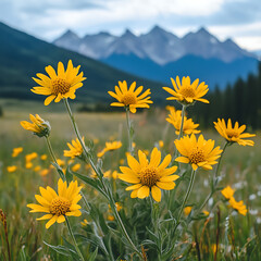 Beautiful yellow petals with rugged mountains beyond picture