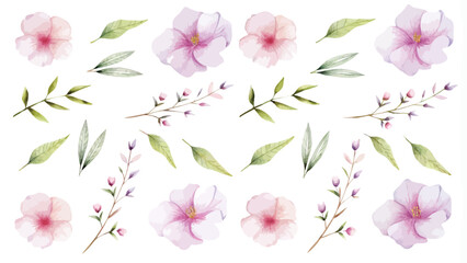 Wall Mural - Watercolor pink and purple flowers set on white background. Vector illustration