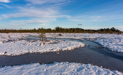 Wall Mural - swamp on a sunny winter day with snow