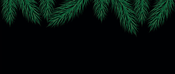 Poster - Christmas tree branches on a dark background