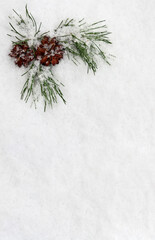 Wall Mural - christmas decoration. cone pine, branches christmas tree on snow with space for text. top view, flat