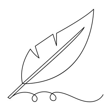 Bird feather  icon  continuous one line drawing  outline vector illustration