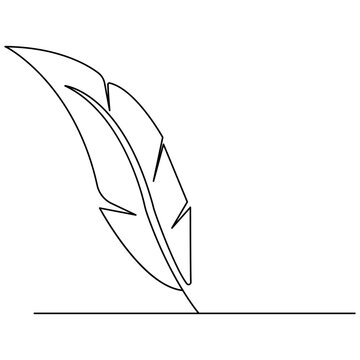 Bird feather  icon  continuous one line drawing  outline vector illustration