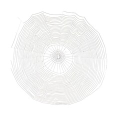 web spider