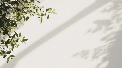 Poster - Green leaves casting shadows on a white wall, creating a natural and minimalist design.