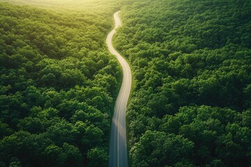 Wall Mural - Aerial view of a road running through dense forest