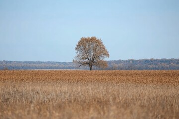 Poster - A single tree standing alone in a green field, no other trees or obstacles nearby