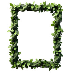 Wall Mural - Vine frame with leaves isolated on transparent background, template