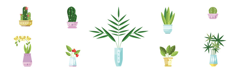 Poster - Decorative Houseplant and Plant Growing in Pot Vector Set