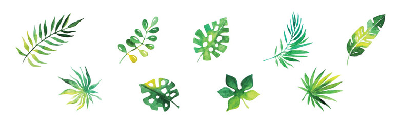 Poster - Tropical Green Leaf and Foliage Watercolor Element Vector Set