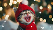 © Володимир Кучмійов - Adorable Kitten in Santa Hat Meowing Joyfully