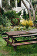 © Irina Polonina/Stocksy - A Rustic Garden Table Adorned With Vibrant Flowers