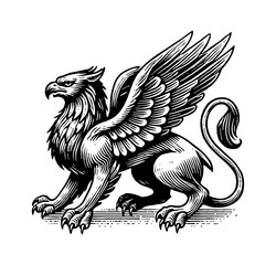 Wall Mural - griffin engraving black and white outline