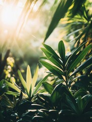 Aufkleber - Sunlight filters through vibrant green leaves, illuminating the tropical forest and creating a tranquil atmosphere filled with nature's beauty. Generative AI