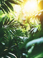 Aufkleber - Sunlight streams through the dense foliage, illuminating the rich greenery of a tropical forest, creating a tranquil atmosphere. Generative AI