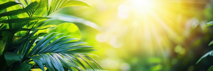 Poster - Sunlight streams through the thick canopy of a tropical forest, illuminating lush greenery and creating a peaceful escape in nature. Generative AI
