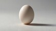 © Saud - A single white egg quietly balanced on a smooth surface, casting a soft shadow in natural lighting during the day