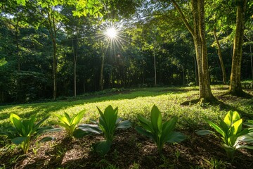 Aufkleber - Bright sunlight streams through the canopy, illuminating the green undergrowth in a peaceful tropical forest setting. Generative AI