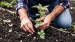 © Bethany - Hand tending to a seedling in a garden