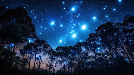 Wall Mural - what is the role of star clusters in astrophotography? discuss how these dense groups of stars add b