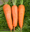© HUIWON - three carrots are shown with the word  i ' m on them.  Generative AI
