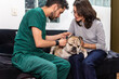 © fx-visual - A man and a woman are sitting on a couch with a dog. The man is a veterinarian and is examining the dog's ears with a otoscope.